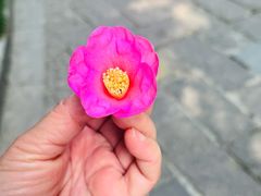 -中国茶叶博物馆(双峰馆区)