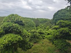 -长沙小顽国景区