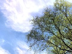 -颐和园