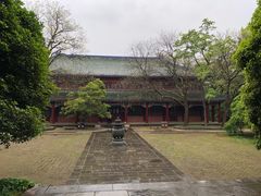 -灵谷景区