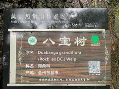 -莫里热带雨林景区
