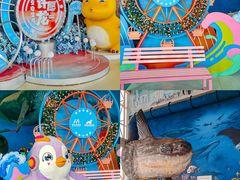 -海合安天津极地海洋公园