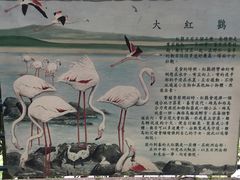 -九龙公园