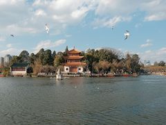 -庾园