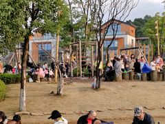 -铁山坪森林公园