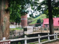 -神户市立六甲山牧场