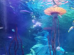 -沈阳海洋探索中心