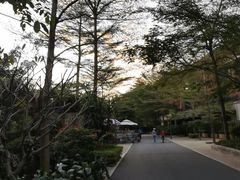 -灵玲国际马戏城