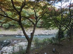 -岚山嵯峨野观光小火车
