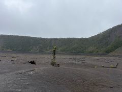 -夏威夷火山国家公园