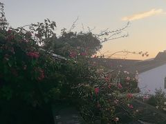 -妈妈的味道·腾冲特色菜(和顺古镇店)