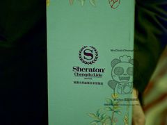 -成都天府丽都喜来登饭店