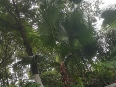 -海兰云天度假区温泉