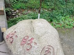 -都江堰中华大熊猫苑