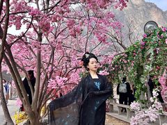 -云台山风景名胜区