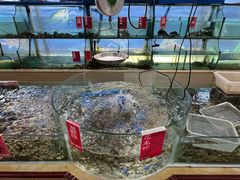 -南庄酒家·海鲜粤菜·25年老字号(环城南路店)