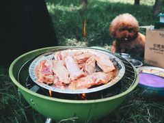 -蜀冈西峰生态公园