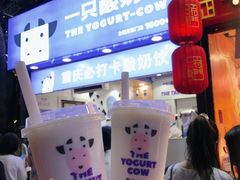 -一只酸奶牛(八一路店)