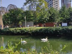 -长白岛森林公园