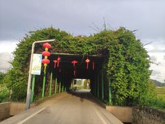 -光明小镇欢乐田园