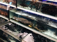 -盒马鲜生(红莲店)