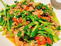 香菜炒牛肉-壹盏灯(惠农店)
