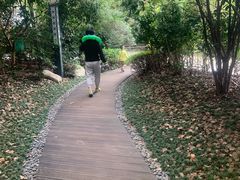 -常州环球恐龙城维景国际大酒店