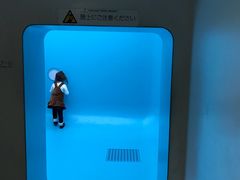 -金泽21世纪美术馆