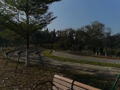 -东莞植物园