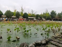 -洪湖家庭农场·团建·露营·会议