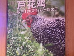 -俭寨大盘鸡·缸子肉·小公鸡·新疆菜(云通店)
