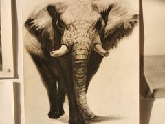 -信马画室 成人零基础到个人创作画室(亚运村店)
