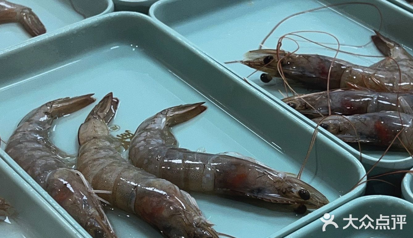 来蚝英雄，轻松生蚝🦪自由[加油]