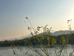-妙峰山风景名胜区