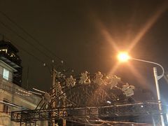 -溪岸路花鸟市场