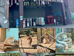 -青藏高原野生动物园