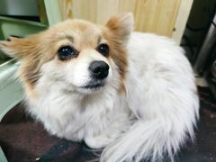 -姐妹面馆(水澄路店)