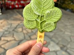 -香山公园