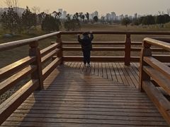 -汉长安城未央宫国家考古遗址公园