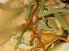 鹦哥鱼-潮人姐妹轩(海宁路店)