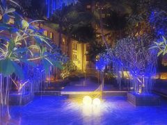 -海南清水湾莱佛士酒店