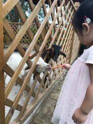 -萌宠亲子动物乐园(槐房万达店)