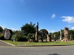 -深圳仙湖植物园