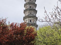 -巢湖姥山岛