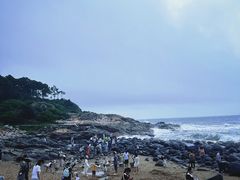 -广东惠东海龟国家级自然保护区