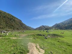 -狮子沟牧场