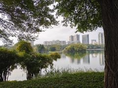 -南宁南湖公园