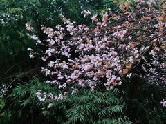 -贵阳市花溪国家城市湿地公园