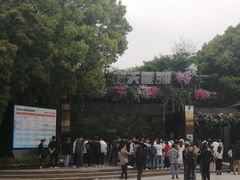 -天目湖山水园