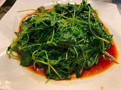 金花菜酒香-新聚丰菜馆(太监弄店)